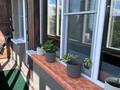 1-бөлмелі пәтер · 32 м² · 5/10 қабат, Шакерима 20, бағасы: 15 000 ₸ в Семее — фото 14