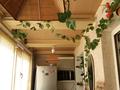 Дом · 1 комната · 60 м², Коркыт -ата 124 В — Командировочным оформляю, дома квартиры за 10 000 ₸ в  — фото 15