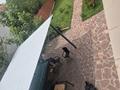 Отдельный дом · 4 комнаты · 100 м² · 10 сот., Булакты 10 за 70 млн ₸ в  — фото 20