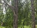 Жеке үй · 7 бөлме · 265 м² · 13 жүзд., Яблочная 1 — Кафе 4 сезона, бағасы: 45 млн ₸ в Енбекши (Карасайский район) — фото 7