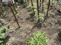 Жеке үй · 4 бөлме · 95 м² · 4 жүзд., Одесская 40, бағасы: 93 млн ₸ в Алматы, Медеуский р-н — фото 14