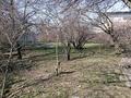 Участок · 10 соток, Тассай 7 — Вольво центр за 26 млн ₸ в Шымкенте, Каратауский р-н — фото 10