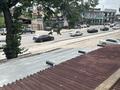 Еркін · 300 м², бағасы: 1 млн ₸ в Каскелене — фото 9