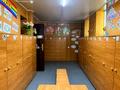 Жеке үй · 15 бөлме · 266 м² · 10.7 жүзд., Хутор 3/1, бағасы: 85 млн ₸ в Талдыкоргане — фото 31