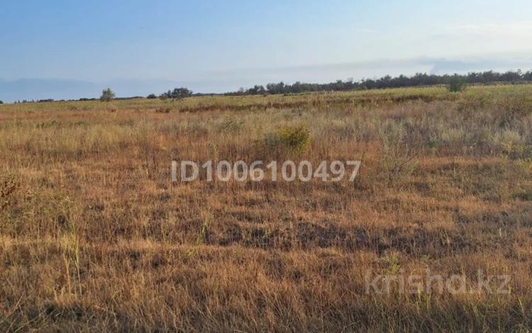 Участок · 8 га, Алатау за 50 млн 〒 в Алматинской обл. — фото 2