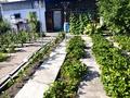 Отдельный дом · 4 комнаты · 83 м² · 2 сот., Богенбай батыра 0000 — Таткрай за 37 млн ₸ в Семее — фото 4