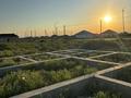 Участок · 10 соток, Карабалаева 97 за 2.5 млн ₸ в  — фото 4