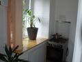 3-комнатная квартира · 60 м² · 1/3 этаж, мкр Алтай-1 7 за 33 млн 〒 в Алматы, Турксибский р-н — фото 15