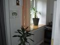3-комнатная квартира · 60 м² · 1/3 этаж, мкр Алтай-1 7 за 33 млн 〒 в Алматы, Турксибский р-н — фото 8