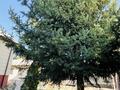 Отдельный дом · 6 комнат · 250 м² · 8 сот., Еркин қарқаралы 267а 267 — Космонавтова за 60 млн ₸ в Алматы — фото 6