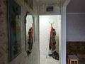 1-комнатная квартира · 31.4 м² · 5/5 этаж, мкр Новый Город, Манарбека Ержанова 38 — Парк культуры и отдыха города Караганда за 10.6 млн ₸ в Казыбек би р-н — фото 13
