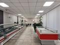 Свободное назначение, магазины и бутики · 298.5 м² за 250 млн ₸ в Костанае — фото 9