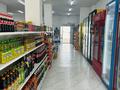 Магазины и бутики • 125 м² за 32 млн 〒 в Актау, 33-й мкр — фото 8