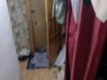 1-бөлмелі пәтер · 31.4 м² · 1/5 қабат, Юность 47, бағасы: 9 млн ₸ в Семее — фото 7