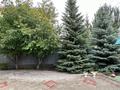 Отдельный дом · 6 комнат · 384.2 м² · 12.5 сот., 6 микрорайон 1 за 230 млн ₸ в Костанае — фото 37