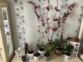 Отдельный дом · 4 комнаты · 120 м² · 18 сот., Салкам Жангир 10/2 — Возле Жд переезда за 22 млн ₸ в Шу — фото 5