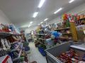 Магазины и бутики • 120 м² за 350 000 〒 в Чапаеве — фото 19