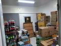 Магазины и бутики • 120 м² за 350 000 〒 в Чапаеве — фото 27