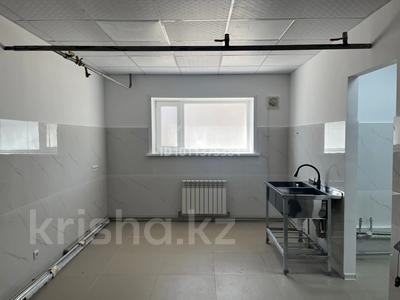 Свободное назначение, склады, общепит · 35 м² за 300 000 ₸ в Астане, Нура р-н