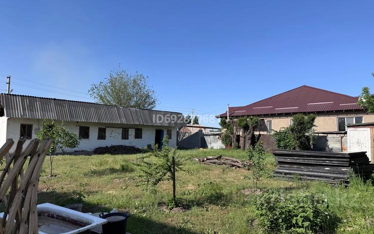 Участок · 6 соток, Желтоксан 21 — Пушкина за 30 млн ₸ в Коксай (пути Ильича) — фото 6