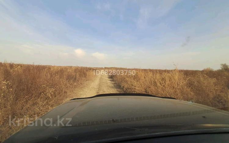 Участок · 200 га, Баканас за 32 млн ₸ — фото 7