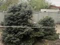 Отдельный дом · 3 комнаты · 85 м² · 5 сот., Азербаева 31 за 40 млн ₸ в Боралдае (Бурундай) — фото 5