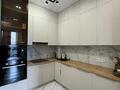 2-бөлмелі пәтер · 73.4 м² · 3/9 қабат, Кабанбай батыра 64 — Рыскулова, бағасы: 58.5 млн ₸ в Астане, Есильский р-н — фото 27