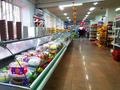 Магазины и бутики • 2000 м² за 1.2 млрд 〒 в Алматы, Турксибский р-н — фото 19