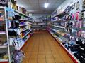 Магазины и бутики • 2000 м² за 1.2 млрд 〒 в Алматы, Турксибский р-н — фото 27