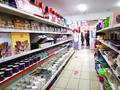Магазины и бутики • 2000 м² за 1.2 млрд 〒 в Алматы, Турксибский р-н — фото 32