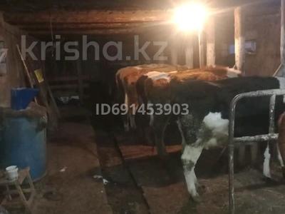 Промбаза · 10 соток, Саржал 50 за 8 млн 〒 в Семее