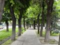 1-комнатная квартира · 41 м² · 2/3 этаж, Михаила Шолохова — Акан серы,ТРЦ Mart Village за 26.5 млн ₸ в Алматы, Турксибский р-н — фото 15