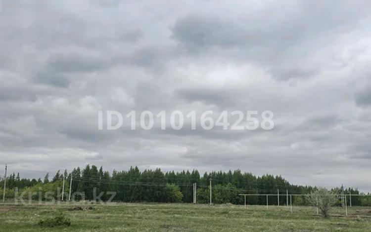 Жер телімі · 10 сотық, 088, бағасы: 15 млн ₸ в Аккайын — фото 6