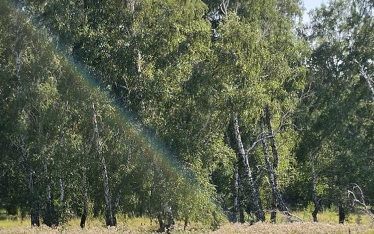 Участок · 30 соток, Балауса за 25.6 млн ₸ в Бурабае — фото 2