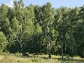 Участок · 30 соток, Балауса за 25.6 млн ₸ в Бурабае — фото 2
