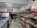 Еркін, кеңселер, дүкендер мен бутиктер, сұлулық салондары · 1200 м², бағасы: 290 млн ₸ в  — фото 2