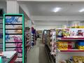 Еркін, кеңселер, дүкендер мен бутиктер, сұлулық салондары · 1200 м², бағасы: 290 млн ₸ в  — фото 7