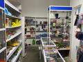 Магазины и бутики • 222 м² за 145 млн 〒 в Астане — фото 2