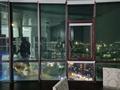 2-бөлмелі пәтер · 75 м² · 20/25 қабат, мкр 11 112А, бағасы: 20 000 ₸ в Актобе — фото 4