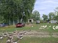 Жеке үй · 3 бөлме · 70 м² · 90 жүзд., Дальняя 23, бағасы: 2.5 млн ₸ в Новой Шульбе — фото 2