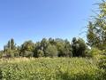 Жеке үй · 3 бөлме · 66 м² · 26.5 жүзд., Идрисова, бағасы: 8 млн ₸ в Каратальское — фото 8