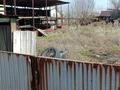 Жеке үй · 3 бөлме · 60 м² · 29 сот., Тулебаева 22, бағасы: 65 млн ₸ в  — фото 7