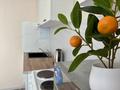 1-бөлмелі пәтер · 40 м² · 10/23 қабат, Бейбарыс султан 12, бағасы: 14 999 ₸ в Астане, Сарыарка р-н — фото 10