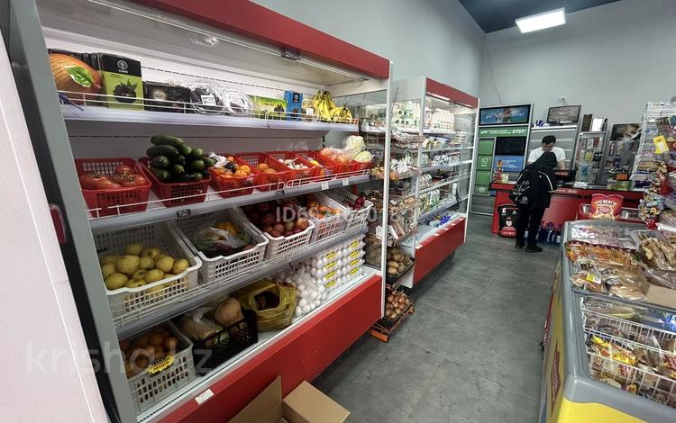 Готовый продуктовый магазин, в долгой аренде., 120 м² за 19.5 млн 〒 в Астане, Алматы р-н — фото 3