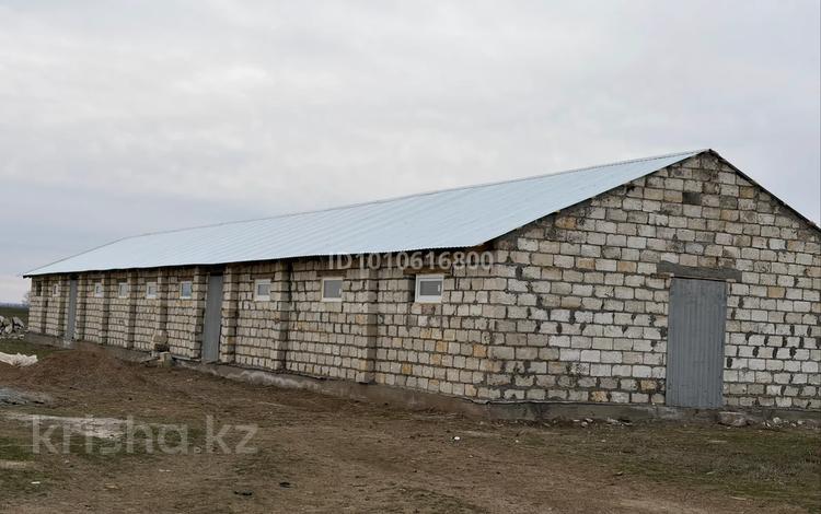 Ауыл шаруашылығы · 250 м², бағасы: 23 млн ₸ в Аксае — фото 4