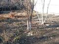 Дача · 2 комнаты · 37 м² · 6 сот., жилой массив Кайнар Булак, Дзержинец садовая 71 — Зелёный забор за 9 млн ₸ в Шымкенте, Абайский р-н — фото 2