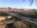 Участок · 40 соток, Кольцо между Толе би и Шу — Кольцо Толе-би-Шу за 30 млн ₸