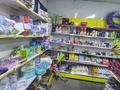 Магазины и бутики · 120 м² за 900 000 ₸ в Алматы, Бостандыкский р-н — фото 16