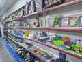 Магазины и бутики · 120 м² за 900 000 ₸ в Алматы, Бостандыкский р-н — фото 17