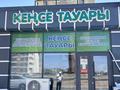 Магазин · 150 м² за 28 млн ₸ в Туркестане — фото 2